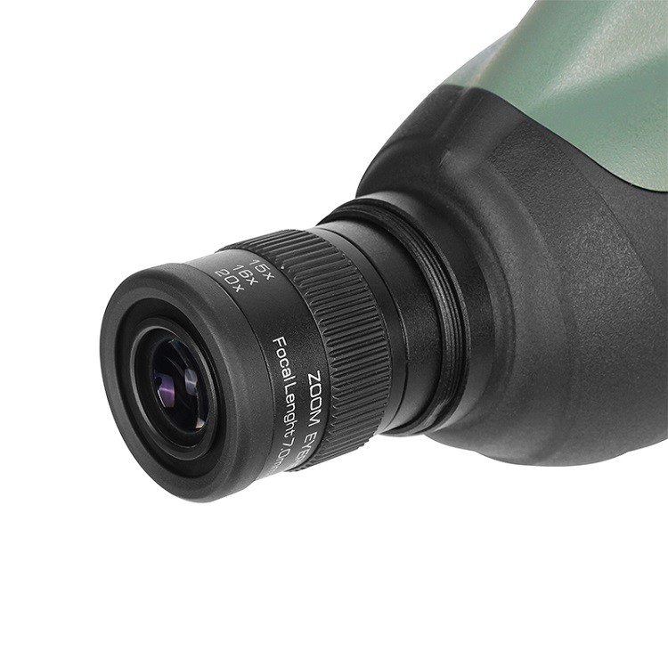 product-750-750 product-750-750